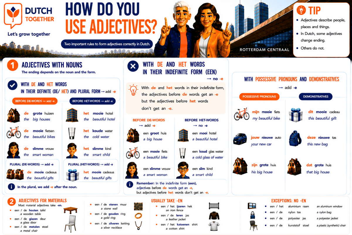Infographic: how to use adjectives in Dutch