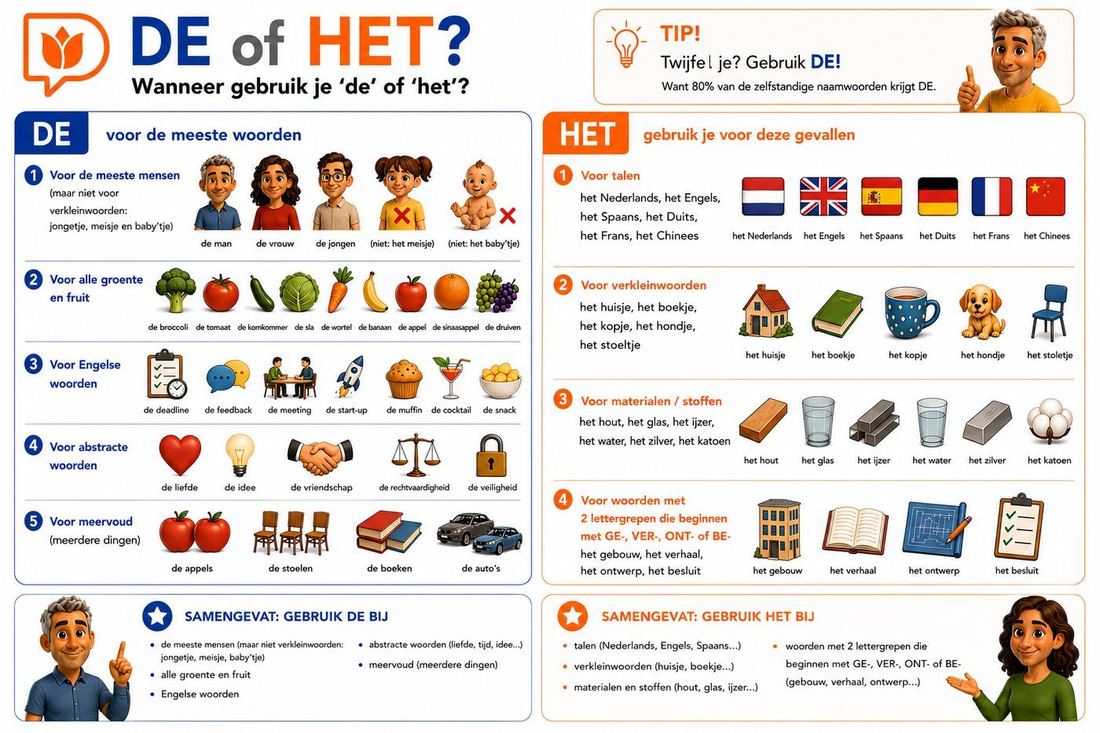 De of het — uitleg met voorbeelden